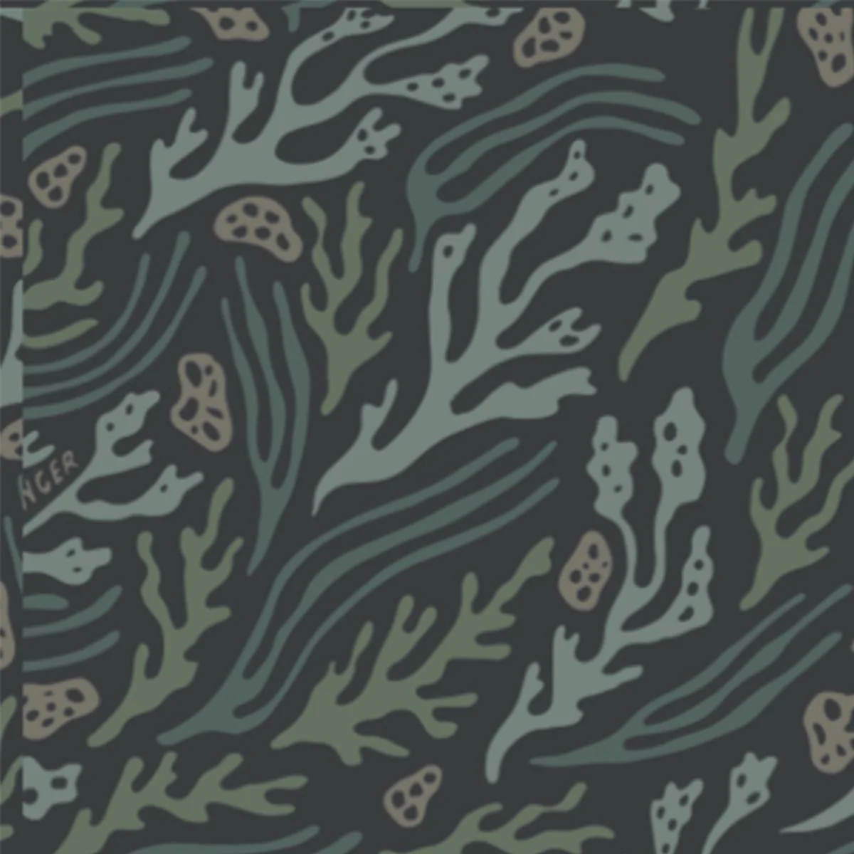 Thumbnail 14